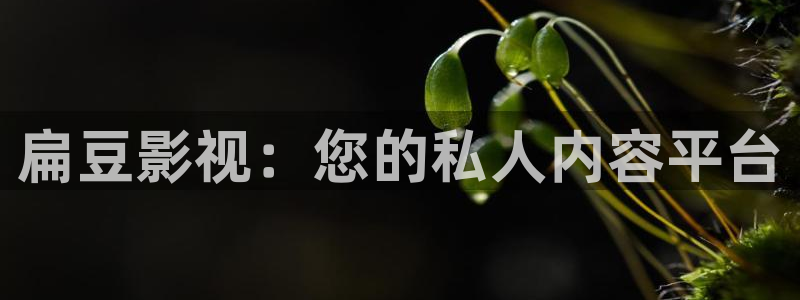星空影院首页