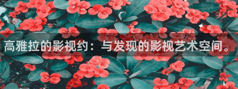 人世间星空影院