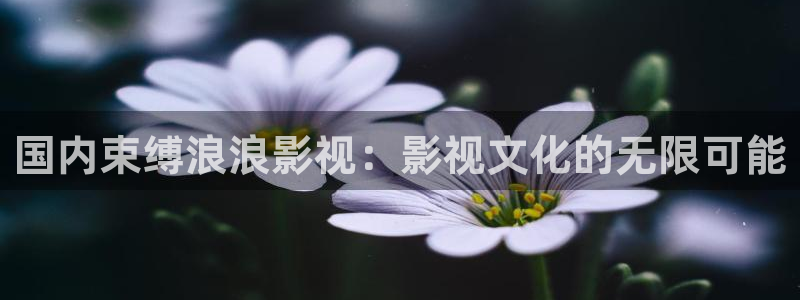 星空影院策驰影院